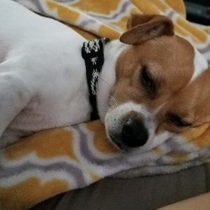 Meet your Posher, Jaclynn